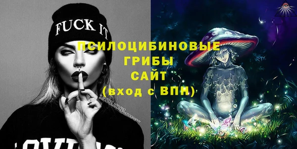 кокс Дмитриев
