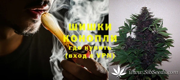гашик Шали